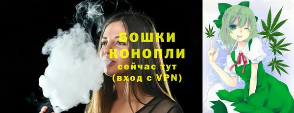 хмурый Белокуриха