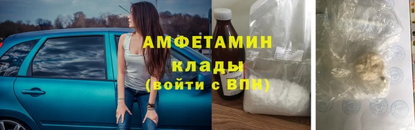 хмурый Белокуриха