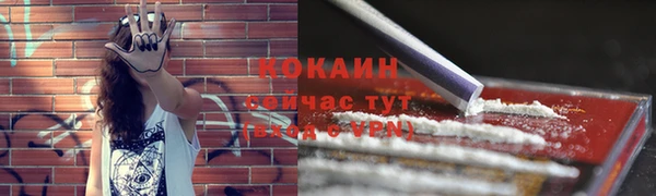 хмурый Белокуриха