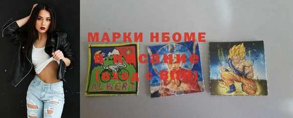 хмурый Белокуриха