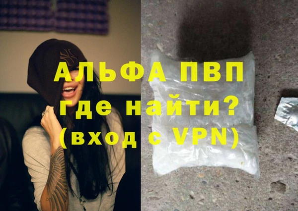 хмурый Белокуриха