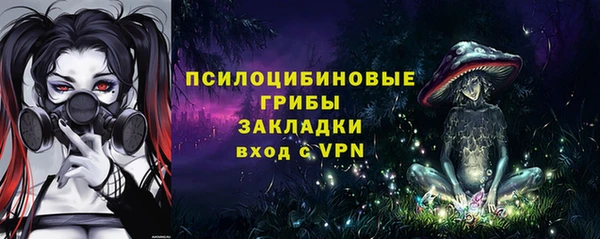 хмурый Белокуриха