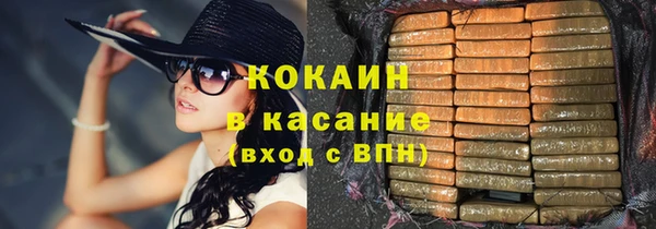хмурый Белокуриха