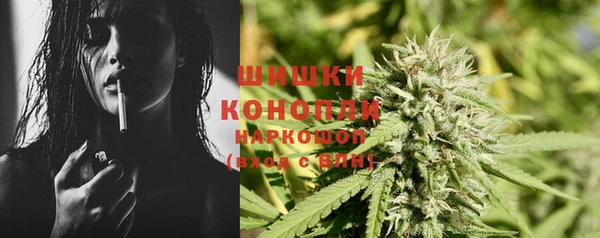 хмурый Белокуриха
