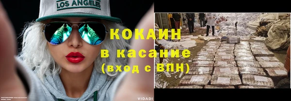 хмурый Белокуриха