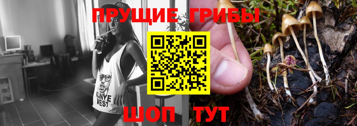 Псилоцибиновые грибы мицелий Валуйки