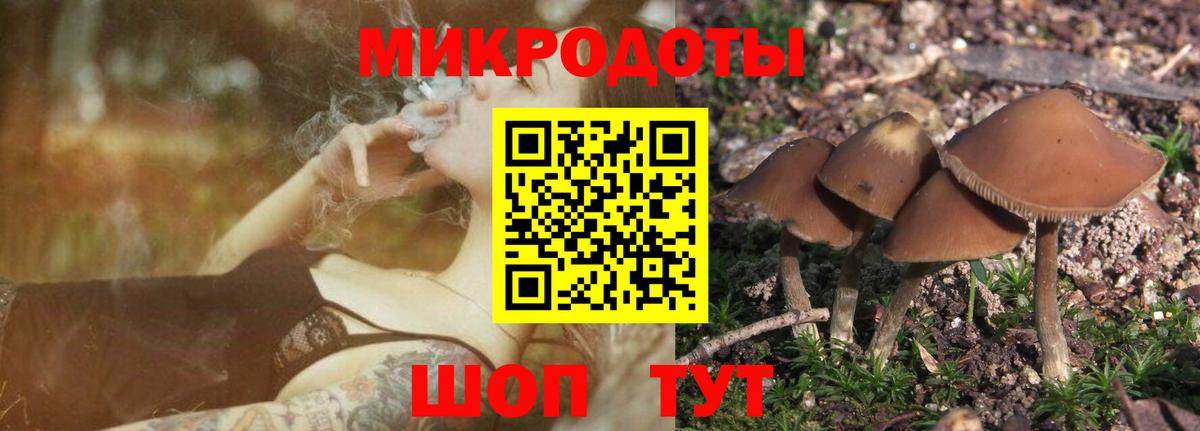 Валуйки  Псилоцибиновые грибы прущие грибы  Галлюциногенные грибы MAGIC MUSHROOMS  Вход с VPN 